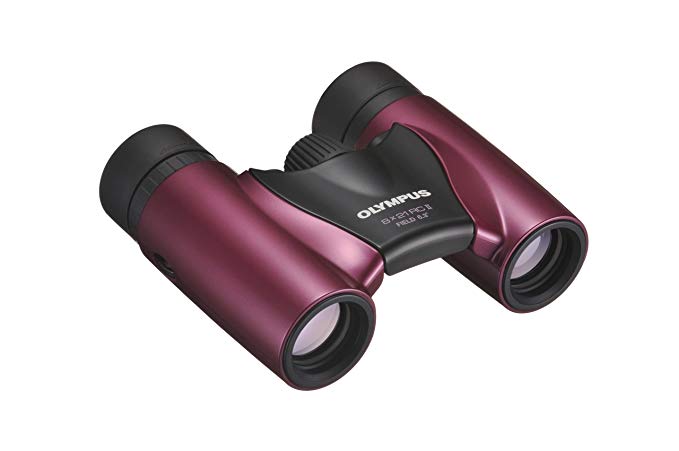 Olympus 118804 Roamer 8x21 RC II Binocular (Magenta)