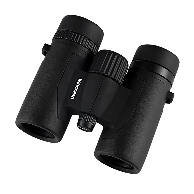 Wingspan Optics FieldView 8X32 Compact Binoculars for Bird Watching. Compact and Light Weight. Waterproof for all Weather. For Bird Watching, Watching Wildlife, or Sports Games and Concerts.