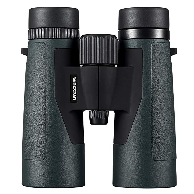 Wingspan Optics EagleScout 10X42 High Powered Binoculars for Bird Watching. Bright and Clear Views for Hours of Bird Watching, Hiking and Exploring. Waterproof. Fog Proof. Formerly Polaris Optics