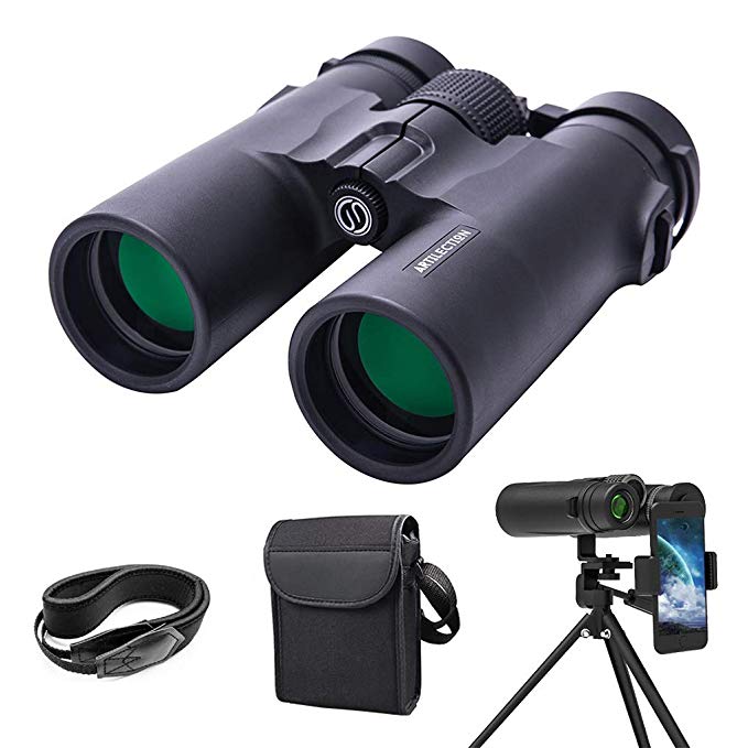 Artilection 10x42 Binoculars for Adults, Hunting Binoculars Compact Lightweight, High Power Telescope for Bird Watching, Travel, Star Gazing and Concerts with BAK4 Prism FMC Lens