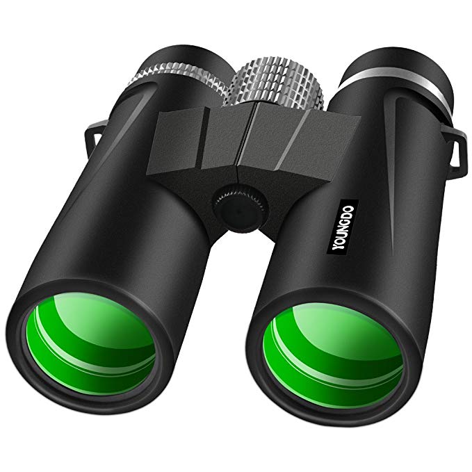 10x42 Binoculars for Adults Compact, Low Light Night Vision IP68 Waterproof with BAK4 Prism FMC Lens Nitrogen Filled Fogproof for Bird Watching Floating Boating Hunting Wildlife Sports Games Concerts