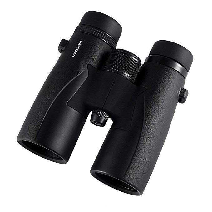 Wingspan Optics SkyView Ultra HD - 8X42 Binoculars for Bird Watching for Adults With ED Glass. Waterproof, Wide Field of View, Close Focus. Experience Better and Brighter Bird Watching in Ultra HD