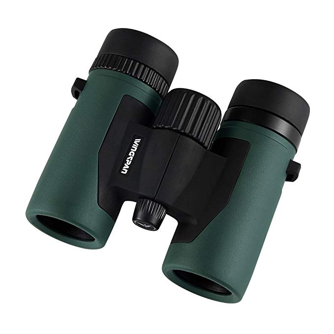 Wingspan Optics NatureScout 8X32 Compact Binoculars for Bird Watching. Lightweight and Durable. Bright and Clear Views. Waterproof. Fog Proof. For Bird Watching, Watching Sports Games or Concerts.