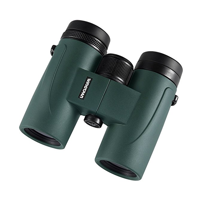 Wingspan Optics GoHawk HD 8X32 Compact Binoculars for Bird Watching. Phase Coated. Upgrade Your Outdoor Viewing Experience with Brighter, Crisper, and Clearer Images. Waterproof, Fogproof. Wideview