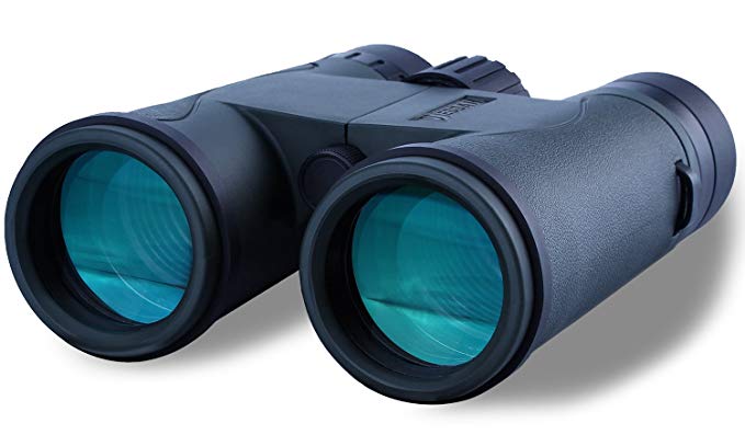 Jeddah JY5-8x42 Binocular with Premium Bak-4 Prisms and FREE Carry Case | FMC Waterproof, Fogproof Compact binoculars | for Birdwatchers, Travel, Sports, Nature Viewing, Hunting (Green)